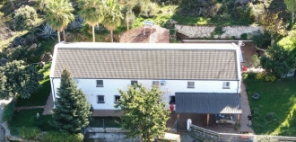 246564.jpg