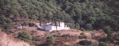 289616.jpg