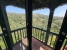 AMSACP430_14228_V0_47B6.jpg