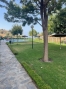 AVEABP323_8316_V0_DF42.jpg