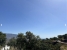 BOMACP366_11475_V0_B653.jpg