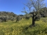 AWVADP937_35423_V0_B78F.jpg