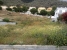 BOMACP749_21531_V0_97CD.jpg