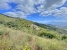 AWVADP1047_39671_V0_0B85.jpg