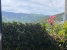 27-f6e8bc237ba13ac4c268badec6354f3d.jpg