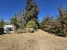 20-d1f7658cbe4ba6cd8666fec30fba80ad.jpg