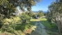 1-7980e48d732b6fc85c14b43b94d2aa54.jpg