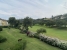 7-aa4cc561180b369757c0bb4af9886cd3.jpg