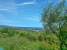 5-3595ad71cbd87be6c3643a4285ef4791.jpg