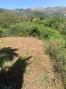 20-d1f7658cbe4ba6cd8666fec30fba80ad.jpg