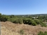 7-aa4cc561180b369757c0bb4af9886cd3.jpg