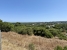 8-e64a9055bba3e77ac8aca3b893cdf826.jpg