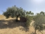 54-cba5c6f0c186831e5b449ecd59074d41.jpg