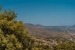 29-7c2f312881aea9bbe9ddaeb9640e2c9a.jpg