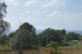 9-467d0cee5b725f3ef65f102a0c2e69c0.jpg