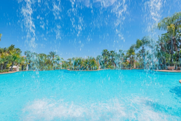 1-7980e48d732b6fc85c14b43b94d2aa54.jpg