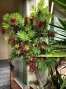20-d1f7658cbe4ba6cd8666fec30fba80ad.jpg